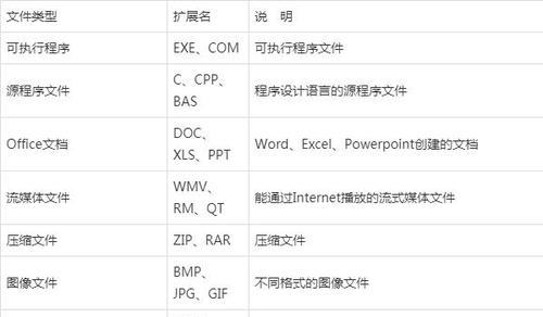 深入解析exe文件格式（探究exe文件的构成和功能，解读其作用与安全性）