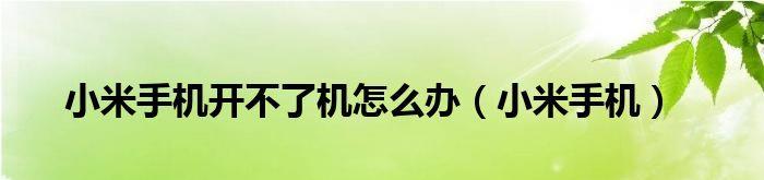 手提电脑无法开机的解决方法（教你轻松解决手提电脑开不了机的烦恼）