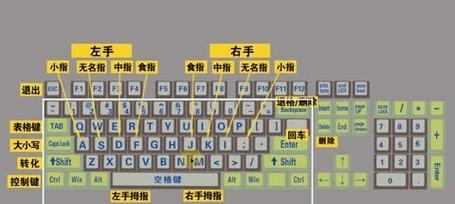 电脑键盘功能基础知识大全（了解键盘的布局、按键和常用功能）