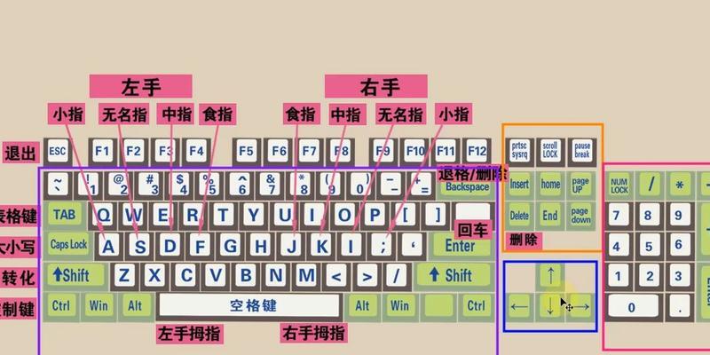 电脑键盘功能基础知识大全（了解键盘的布局、按键和常用功能）