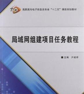 构建大型局域网的方案及实施策略（实现的大规模内部通信与数据交流的关键要素）