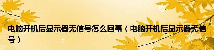 探讨开机后显示器无信号的原因及解决办法（详解显示器无信号问题的常见原因和解决办法）