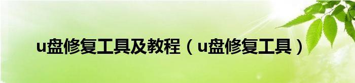 U盘修复方法详解——轻松解决U盘故障（一步步教你修复U盘问题）