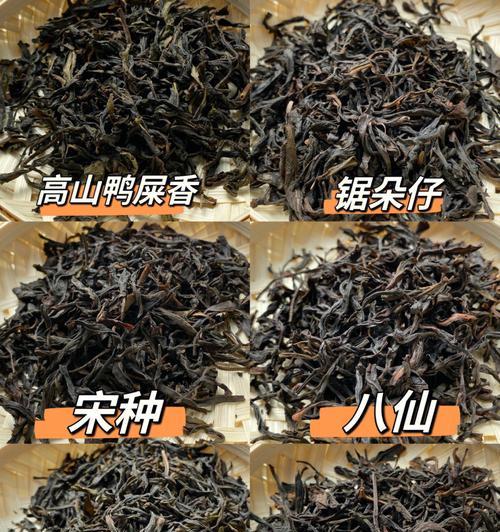 探寻口粮茶的源起与文化意义（一杯口粮茶的故事——从土地到饮品）