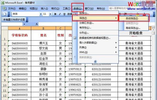 Excel筛选技巧（利用Excel筛选功能提升工作效率）