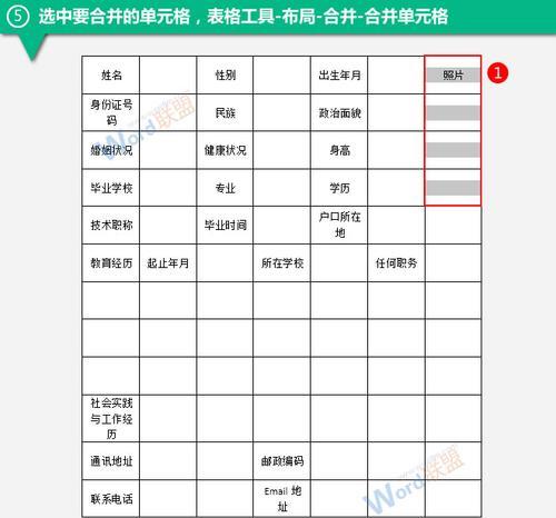 《简单易学的表格制作教程》（快速掌握表格制作的基本技巧）