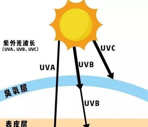 日光性皮肤病（拥抱健康阳光）