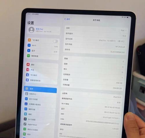 如何有效清理iPad系统数据（快速释放iPad存储空间）