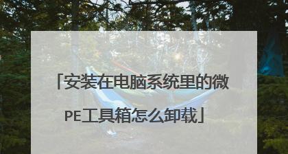 U盘启动后是空的（通过微PE制作的U盘启动后空白问题分析及解决方法）