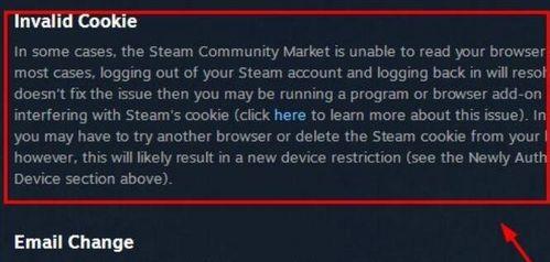 解读Steam商店错误代码及解决方案（深入分析常见的Steam商店错误代码）