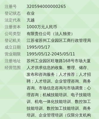 2024年全球软件开发公司排行榜揭晓（揭示全球软件开发领域最具实力的公司排名与）