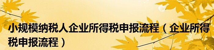 小规模所得税征收的优势与挑战（深入探讨小规模所得税的税收调控机制和实施方案）