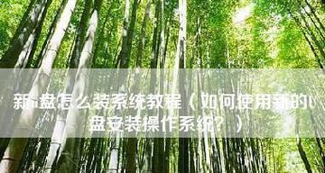 使用U盘装系统的详细教程图解（一步步教你如何使用U盘装系统）