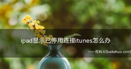 解决苹果手机无法连接iTunes的常见问题