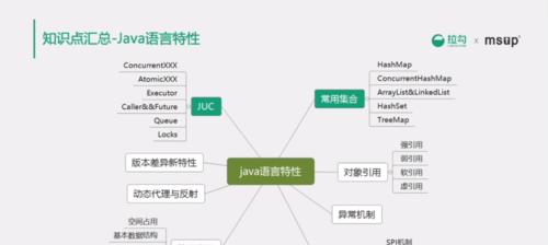 深入探究语言结构的基本类型（解析语言结构的分类及其特点）