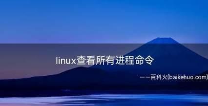 选择适合你的笔记本电脑操作系统（Linux系统笔记本电脑的优势和适用场景）