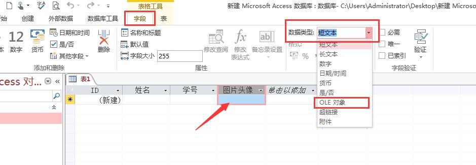 数据库查询的基本原理与技巧（学会使用数据库查询）