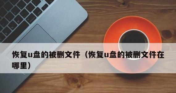 U盘文件误删如何恢复？找回丢失数据的步骤是什么？