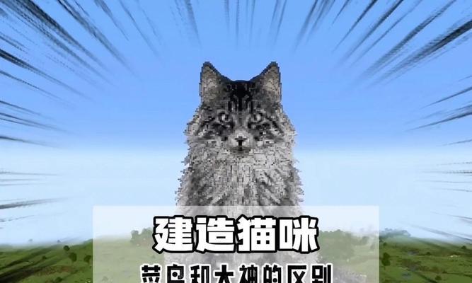 我的世界猫咪房子怎么建？日常维护有哪些要点？